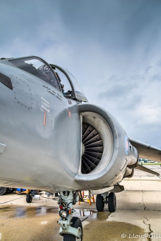 Up close and personal with the Sea Harrier at Rockford